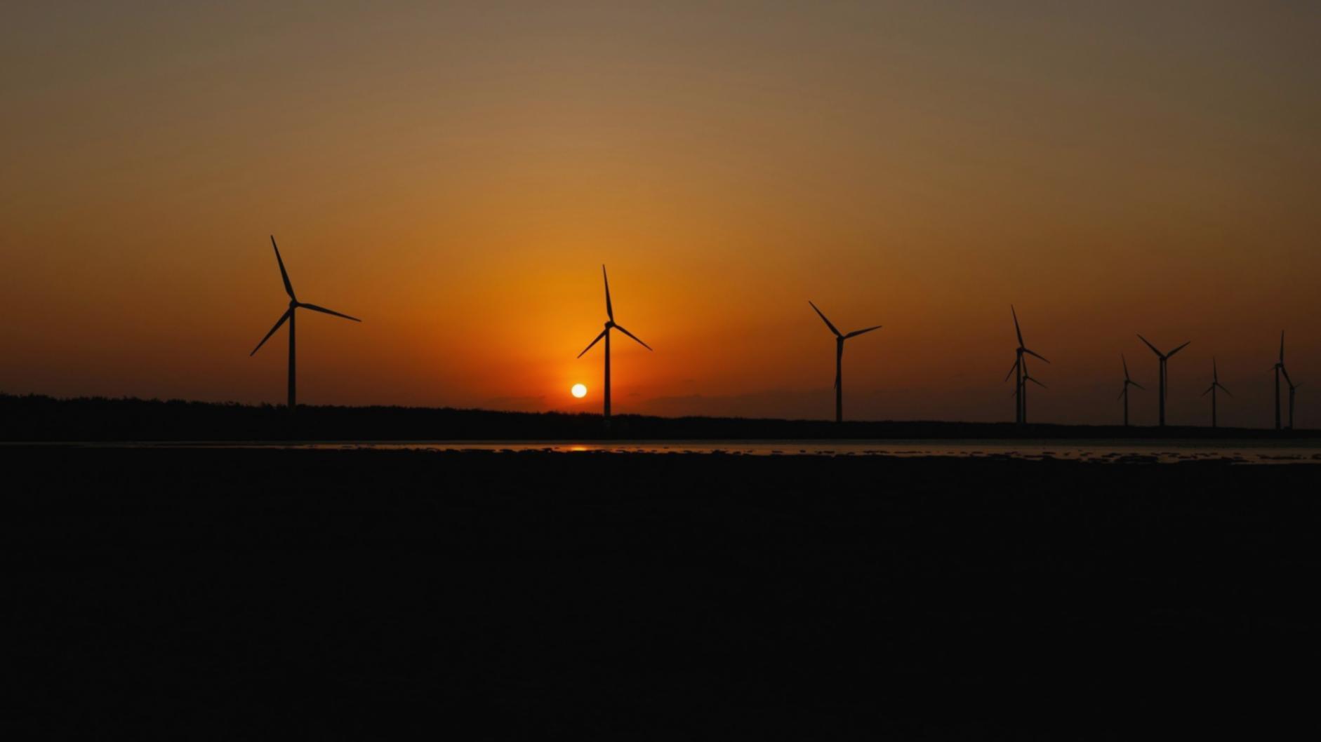 Online learning environment for bioenergy professionals